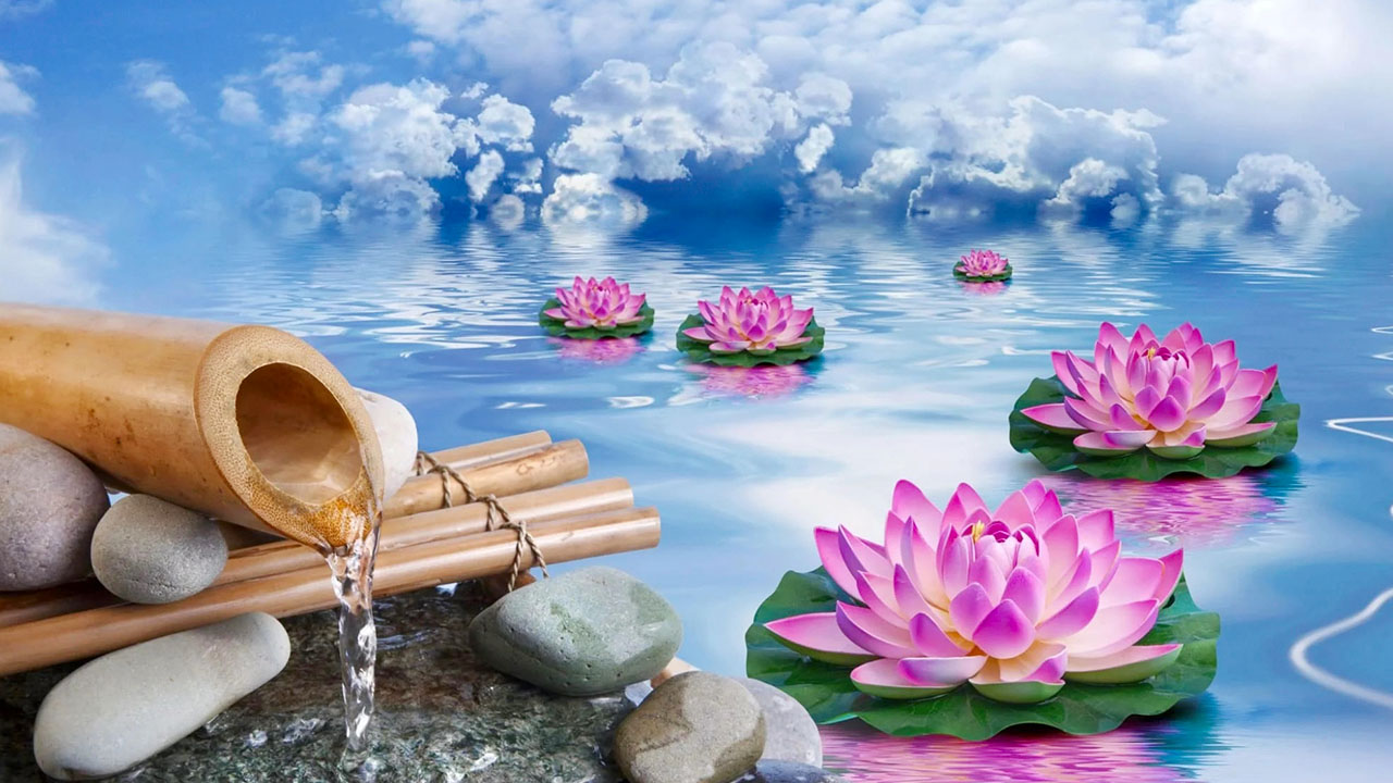 Lotus Flower in Vietnamese Culture